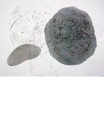 rock