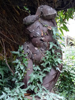 demeter