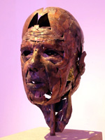 janus3